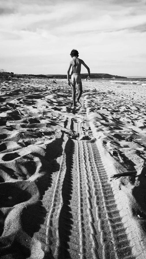 Weisser Schwan Белият Лебед シュコルピロフツ エクステリア 写真
