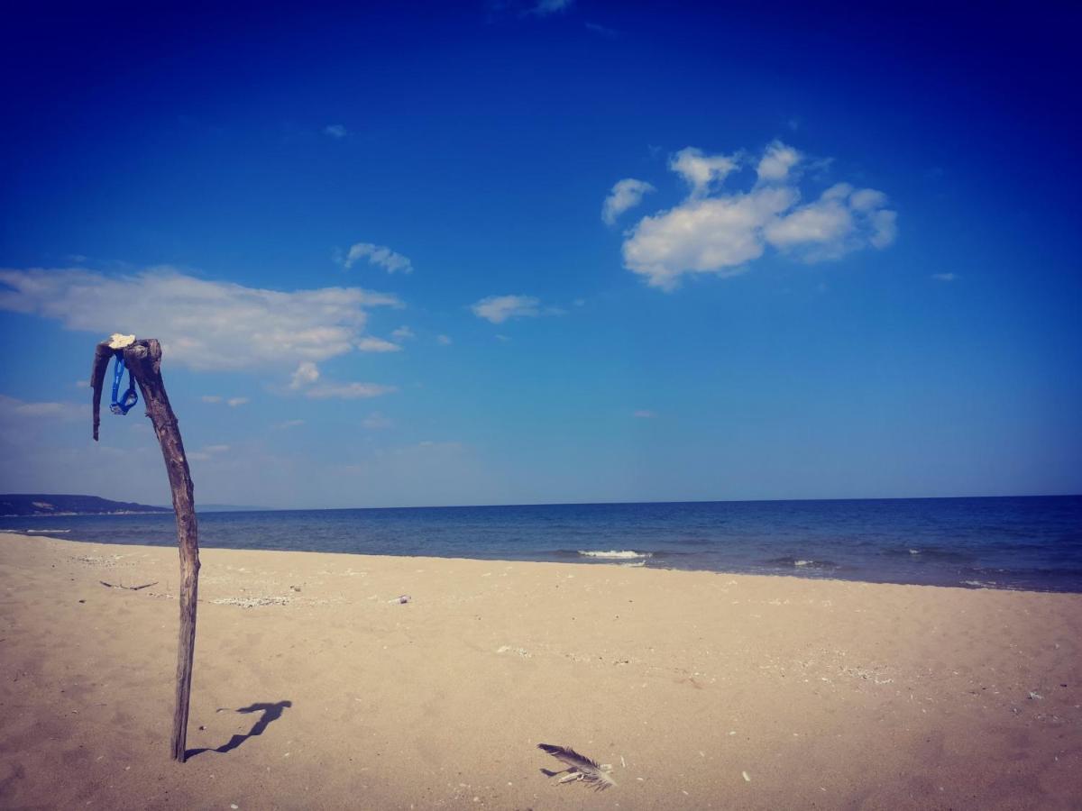 Weisser Schwan Белият Лебед シュコルピロフツ エクステリア 写真
